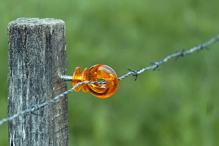 bulb wires, wicker fence, mount, plastic, barbed wire, pasture HD wallpaper