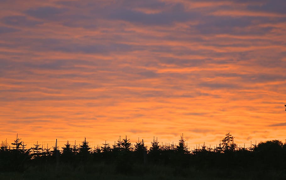 Sky, Himmel, Cloud, Sunset, orange color, silhouette, scenics HD wallpaper