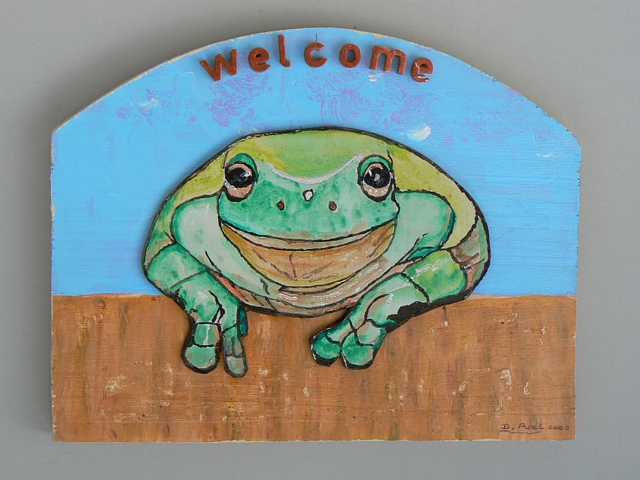 frog, curious, green, creativity, representation, art and craft HD wallpaper