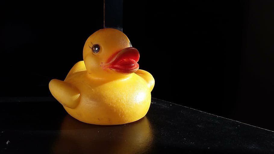 duck, dramatic, shadow, scenic, dark, yellow, food, rubber duck HD wallpaper