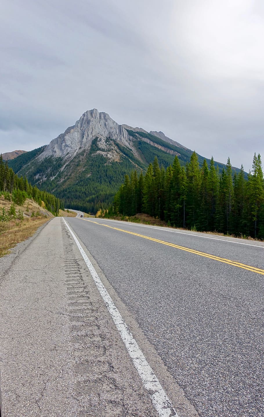 Road, Highway, Perspective, Distance, asphalt, transportation HD wallpaper