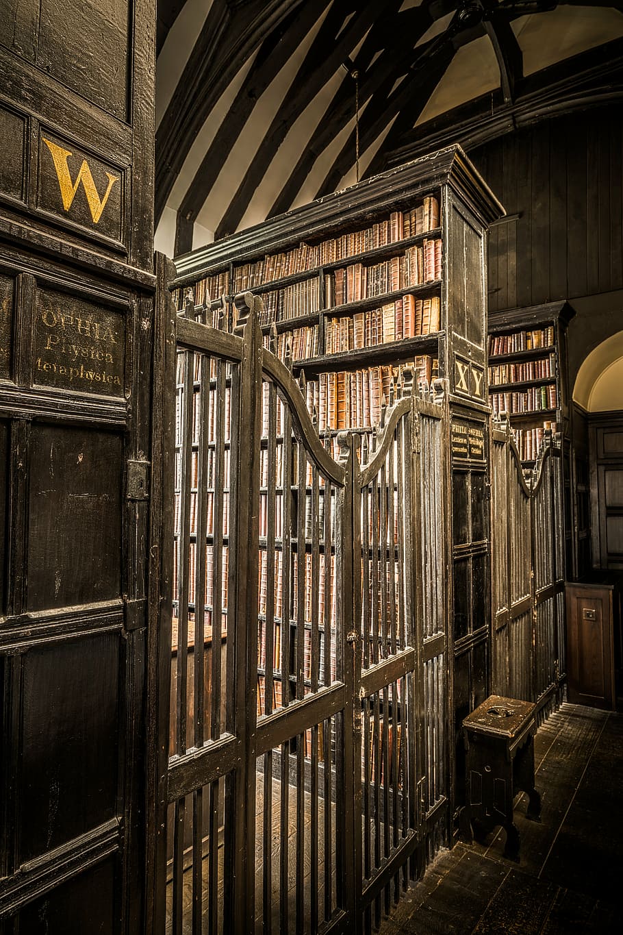 photo of brown wooden bookcases inside room, gate, library HD wallpaper
