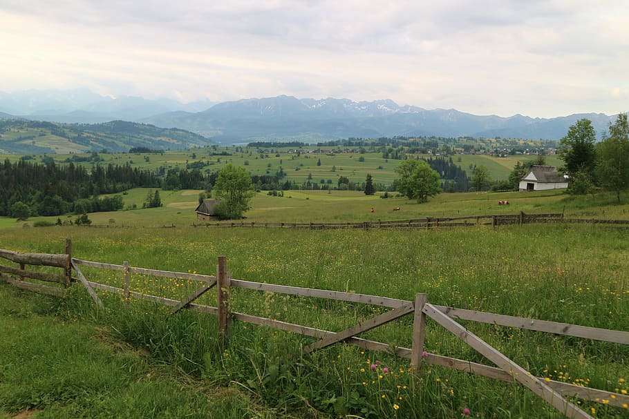 mountains, meadow, poland, polish tatras, panorama, landscape