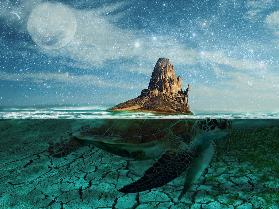 island, digital art, turtle, water, sea, sky, star - space