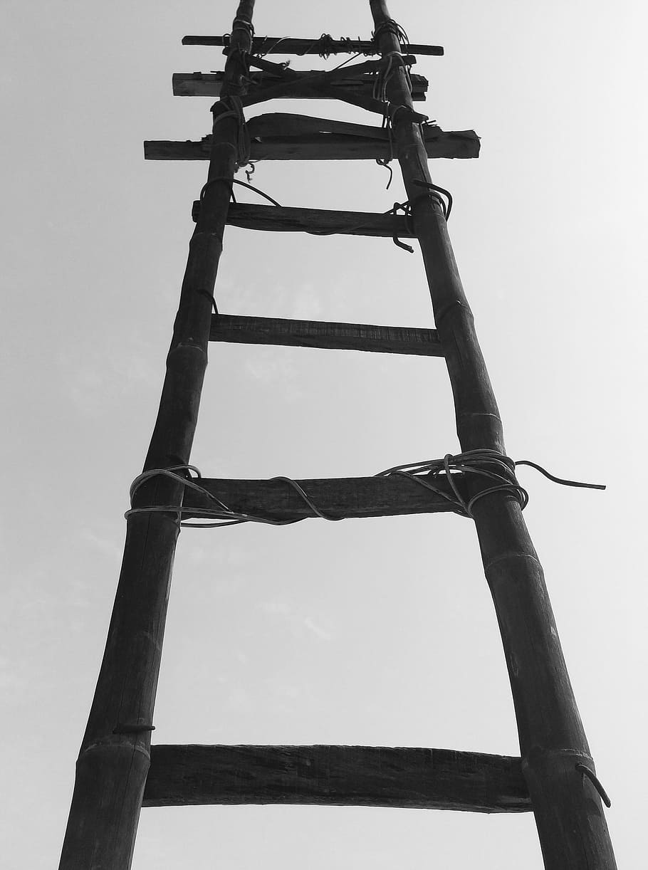 Black Bamboo Ladder during Daytime, black-and-white, construction HD wallpaper
