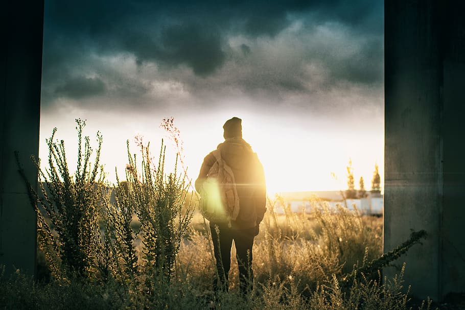 people, alone, man, grass, plants, sunlight, sunset, sunrise HD wallpaper