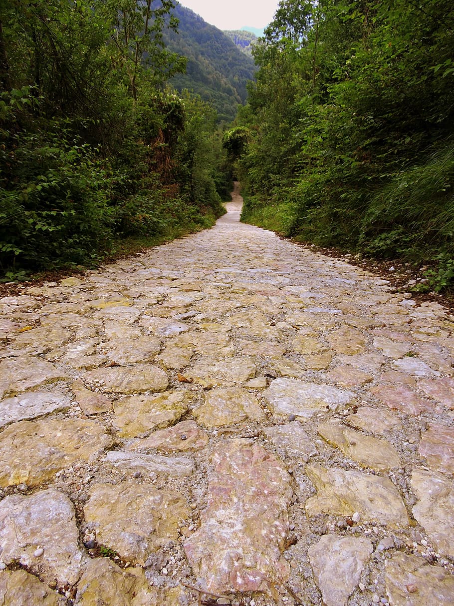 trail, flooring, stone, hiking, mountain, walk, veneto, italy