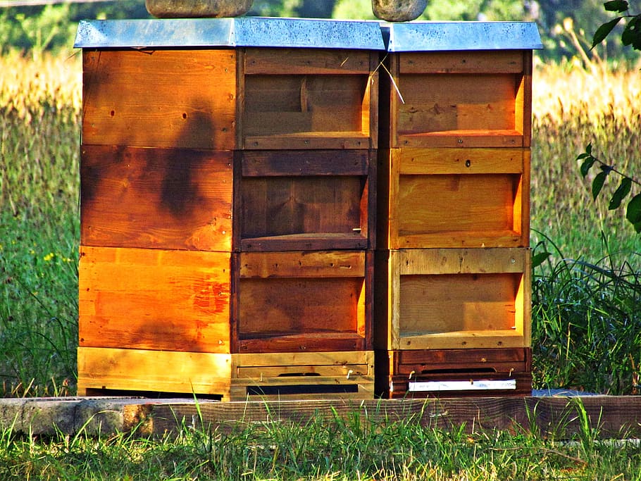 ul, ule, beehive, honey, bees, pasieka, summer, nectar, pollen HD wallpaper