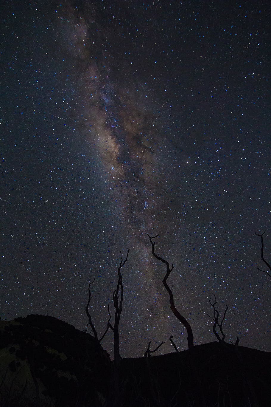 bare tree under cosmos, nature, dark, night, clouds, sky, star HD wallpaper