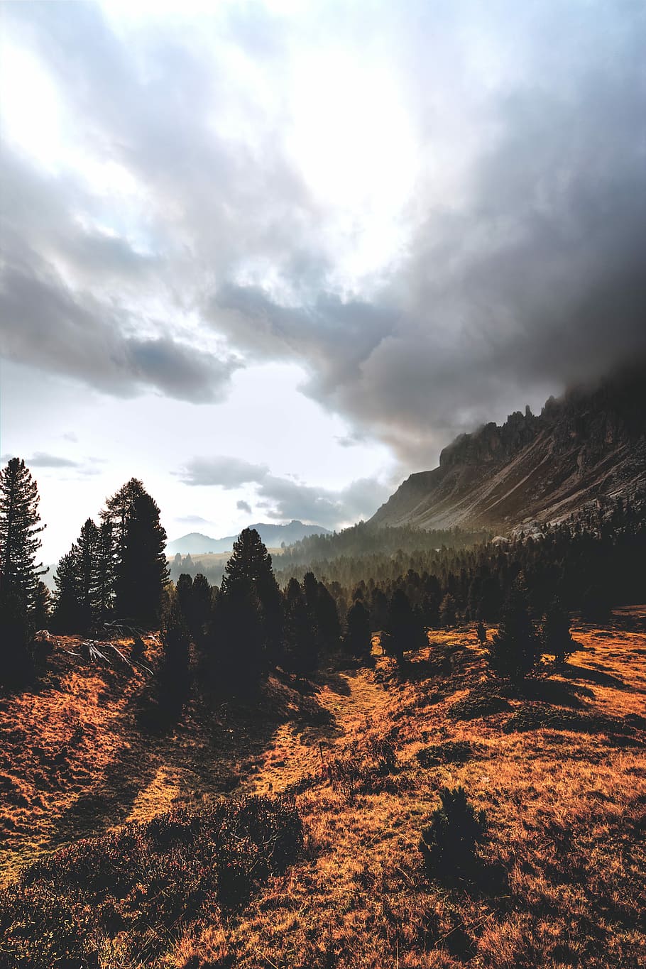 landscape photograph of trees and mountain ranges, landscape photography of pine trees near mountain HD wallpaper