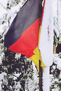 flag, germany, flutter, black red gold, wind, blow, german flag HD wallpaper