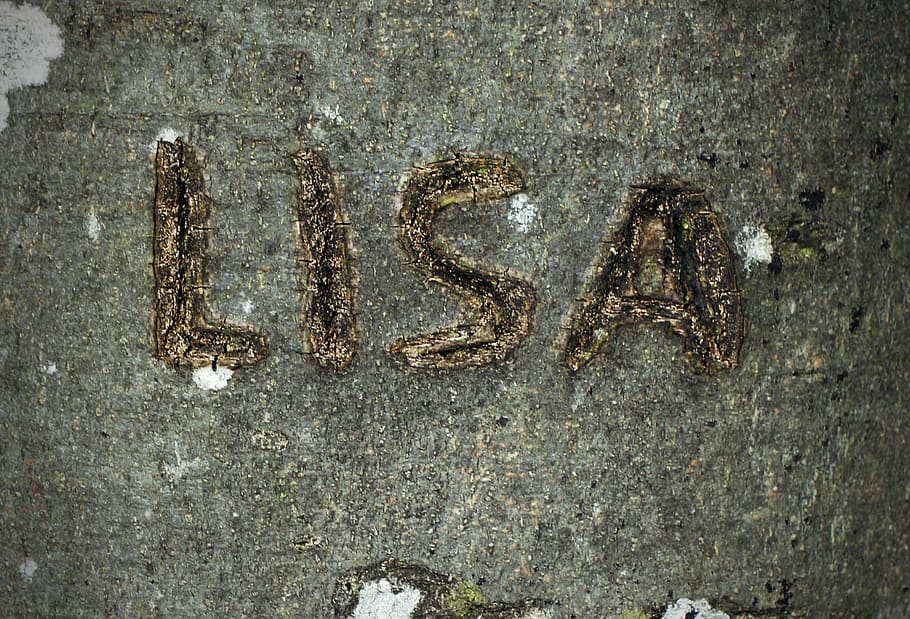 tree bark, carved, name, engraved, eingeritzter tree, letters HD wallpaper