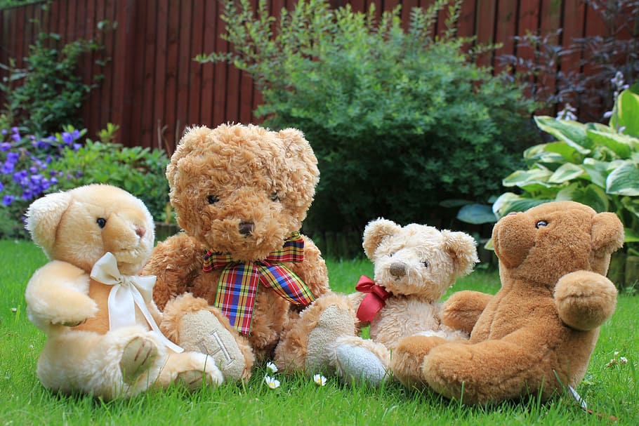 Teddy, Bear, Soft Toy, Cute, Fur, childhood, fluffy, stuffed, HD wallpaper