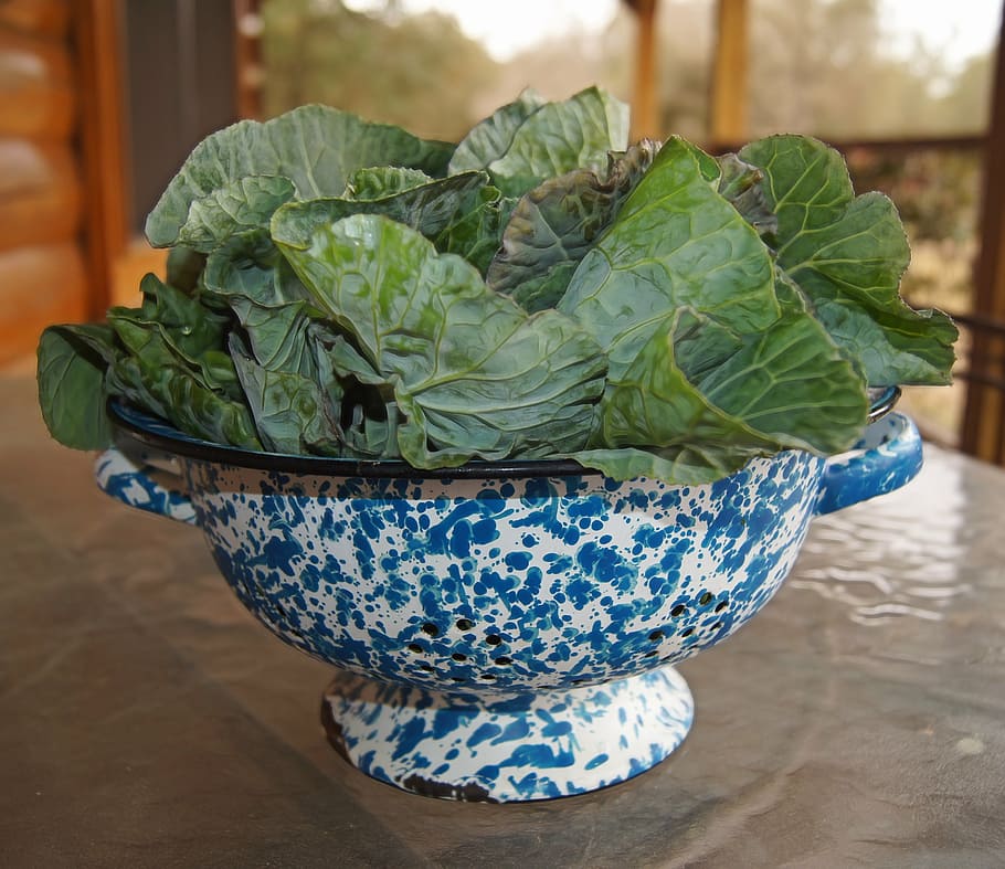 green vegetables on blue and white steel bowl, greens, collards HD wallpaper