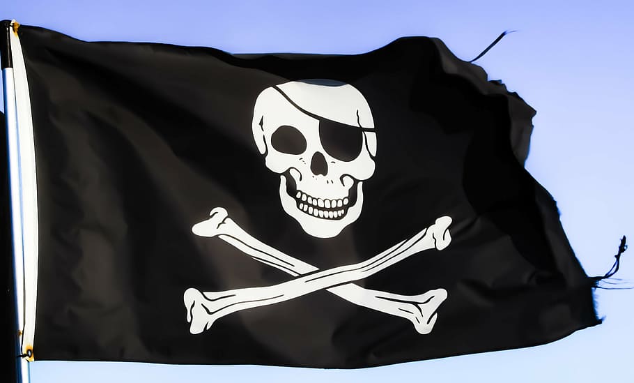 closeup photo of black and white pirate flag, pirates, skull HD wallpaper