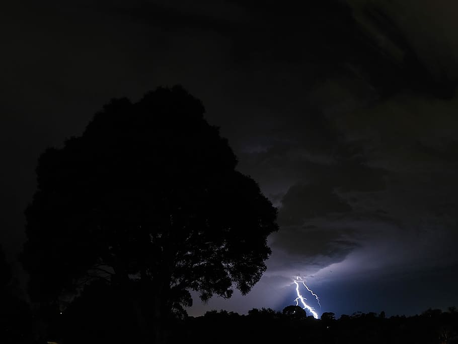 photography of silhouettes of tree in front of lightning bolt, silhouette tree photo during nighttime HD wallpaper