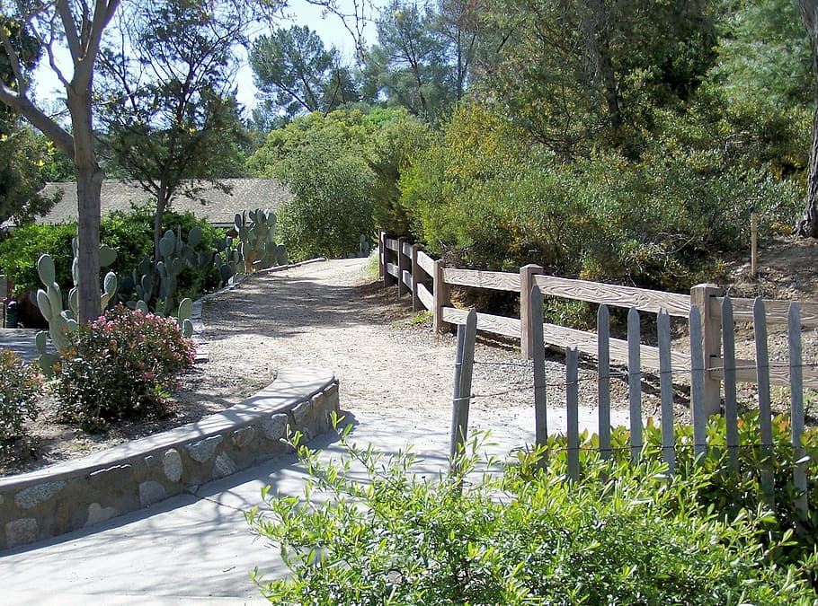 ranch, fence, path, trail, country, countryside, landscape HD wallpaper