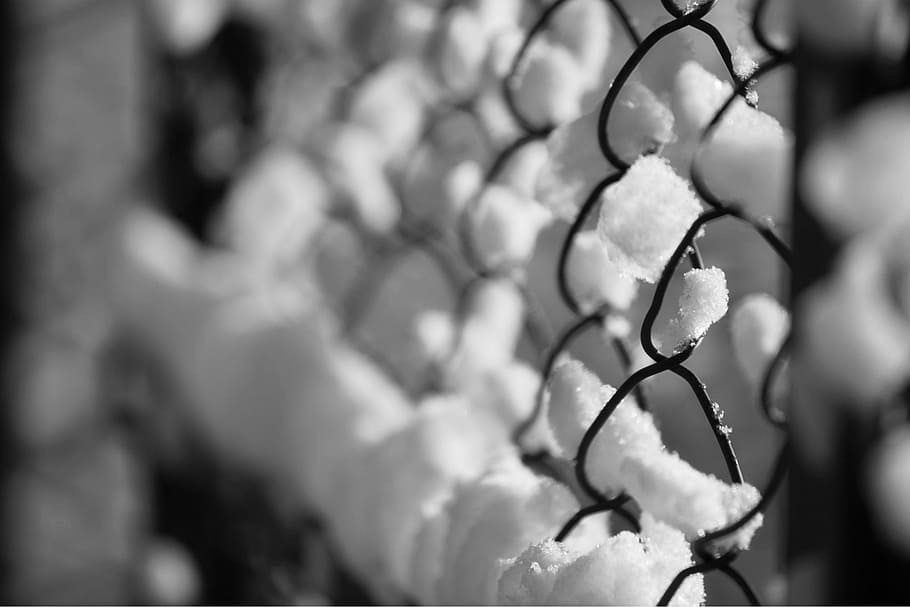 snow, winter, ice, cold, focus on foreground, close-up, selective focus HD wallpaper