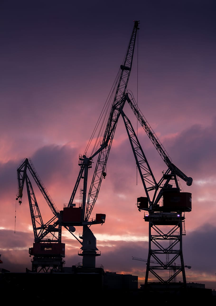 silhouette of crane, silhouette photo of crane, pink, sunset HD wallpaper