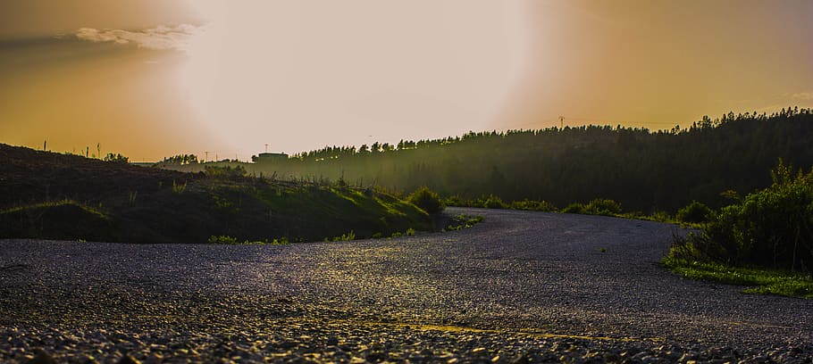 dawn, daylight, evening, fall, field, fog, forest, landscape HD wallpaper