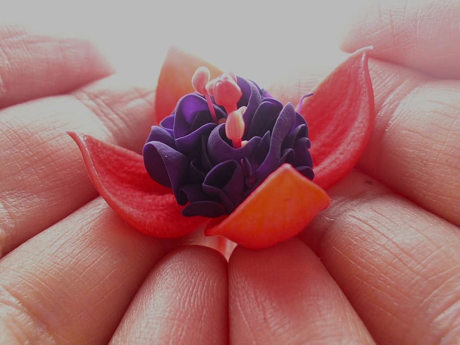 Flower, Earrings, Hands, handful, warehouse, light, human Hand HD wallpaper