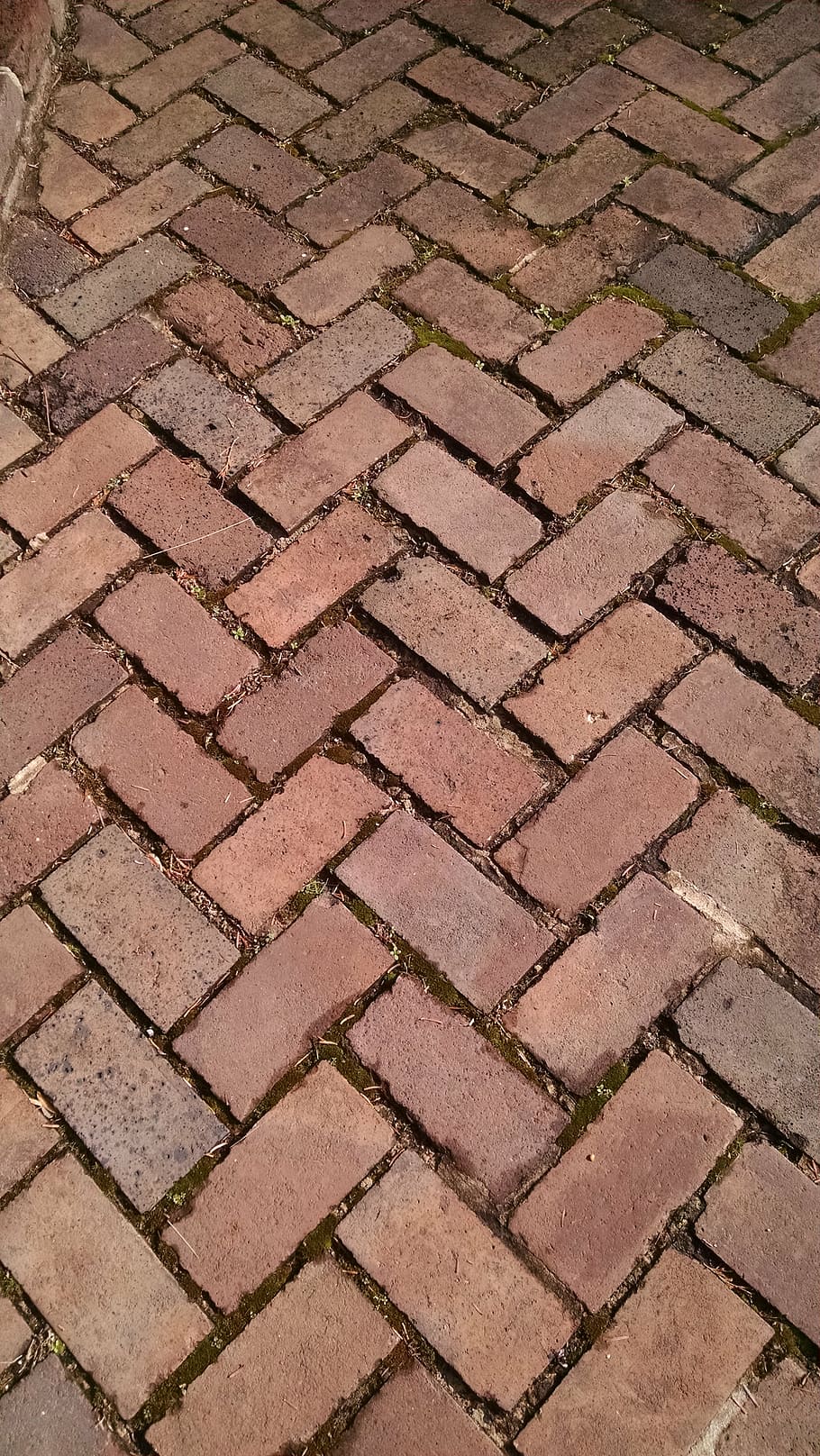 bricks, herringbone, pattern, texture, sidewalk, geometric HD wallpaper