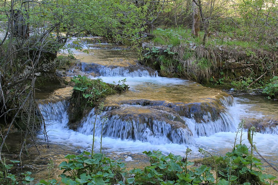 cascade, nature, plitvice, water, plant, tree, beauty in nature HD wallpaper