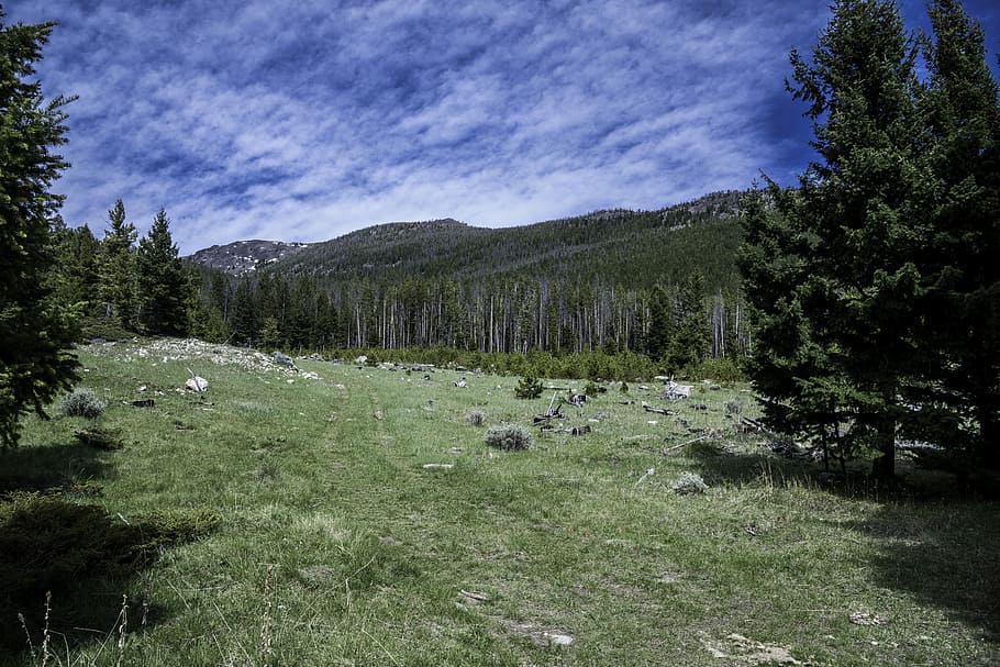 Elkhorn Mountains 1080P, 2K, 4K, 5K HD wallpapers free download ...