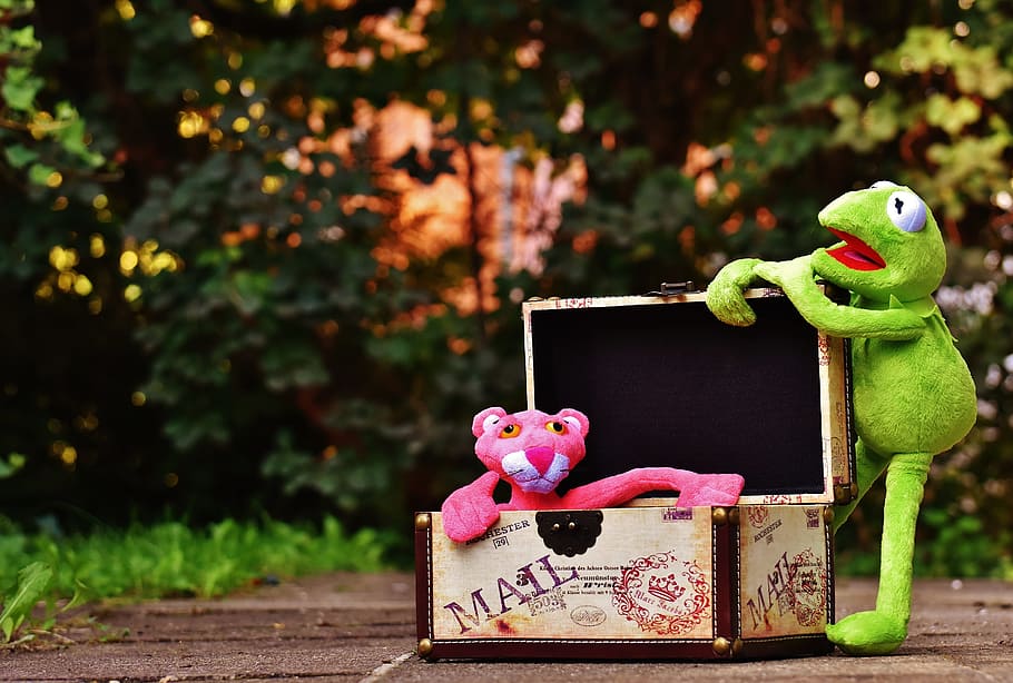 Kermit the frog plush toy holding box beside Pink Panther plush toy