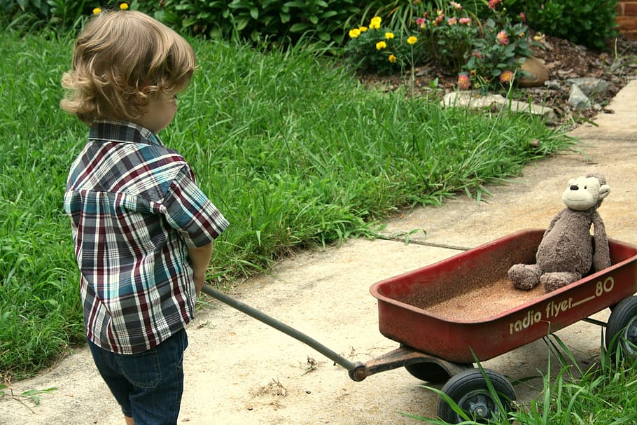 Boy, Child, Stuffed Animal, stuffed monkey, radio flyer, wagon HD wallpaper