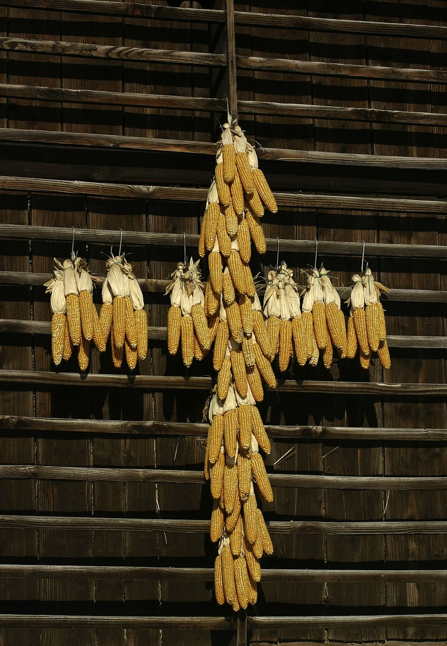 cross, corn, farm, corn cross, tyrol, hanging, food, no people HD wallpaper