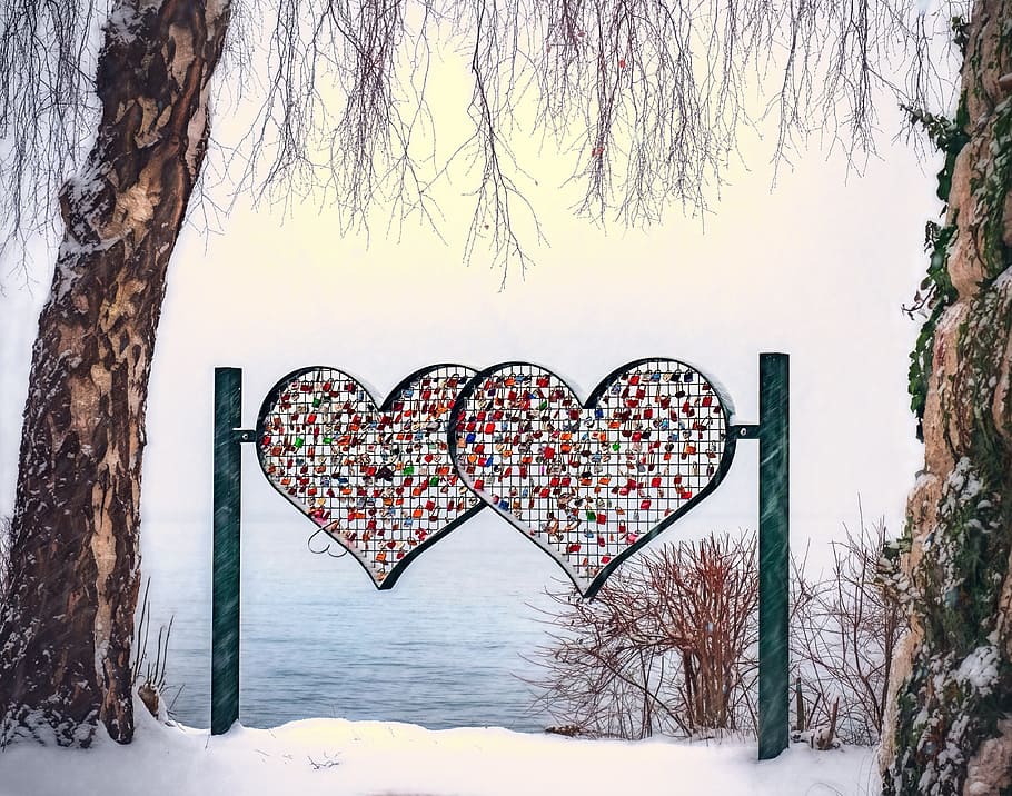 Heart Shape on Tree, cold, couple, feelings, forever, friendship, HD wallpaper