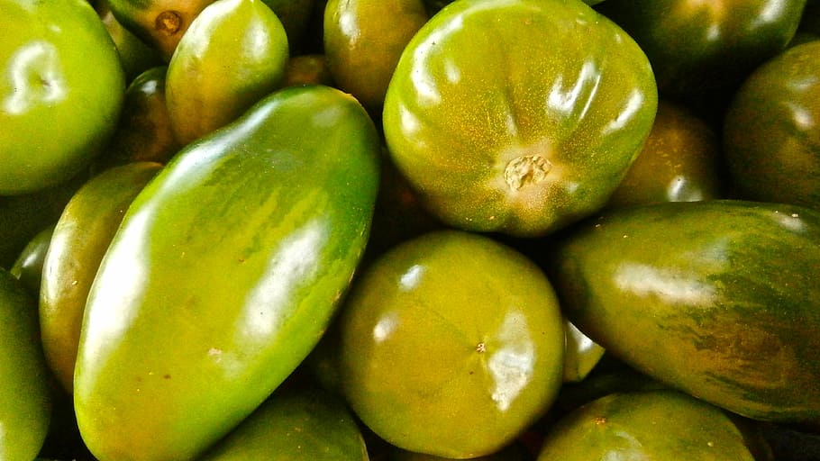 fruit, tomato, vegetable, nature, vegetables, food and drink HD wallpaper