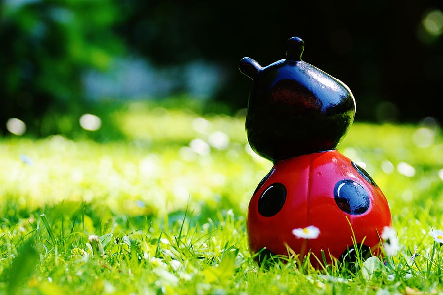ladybug, figure, funny, lucky ladybug, color, sweet, points HD wallpaper