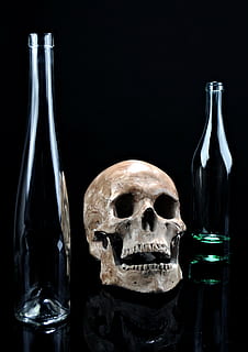beige skull and two clear glass bottles, death, simplicity HD wallpaper