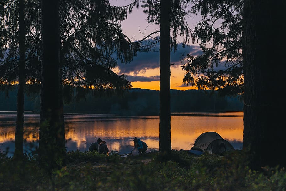 people beside body of water at golden hour, group of people camping in forest during sunset HD wallpaper
