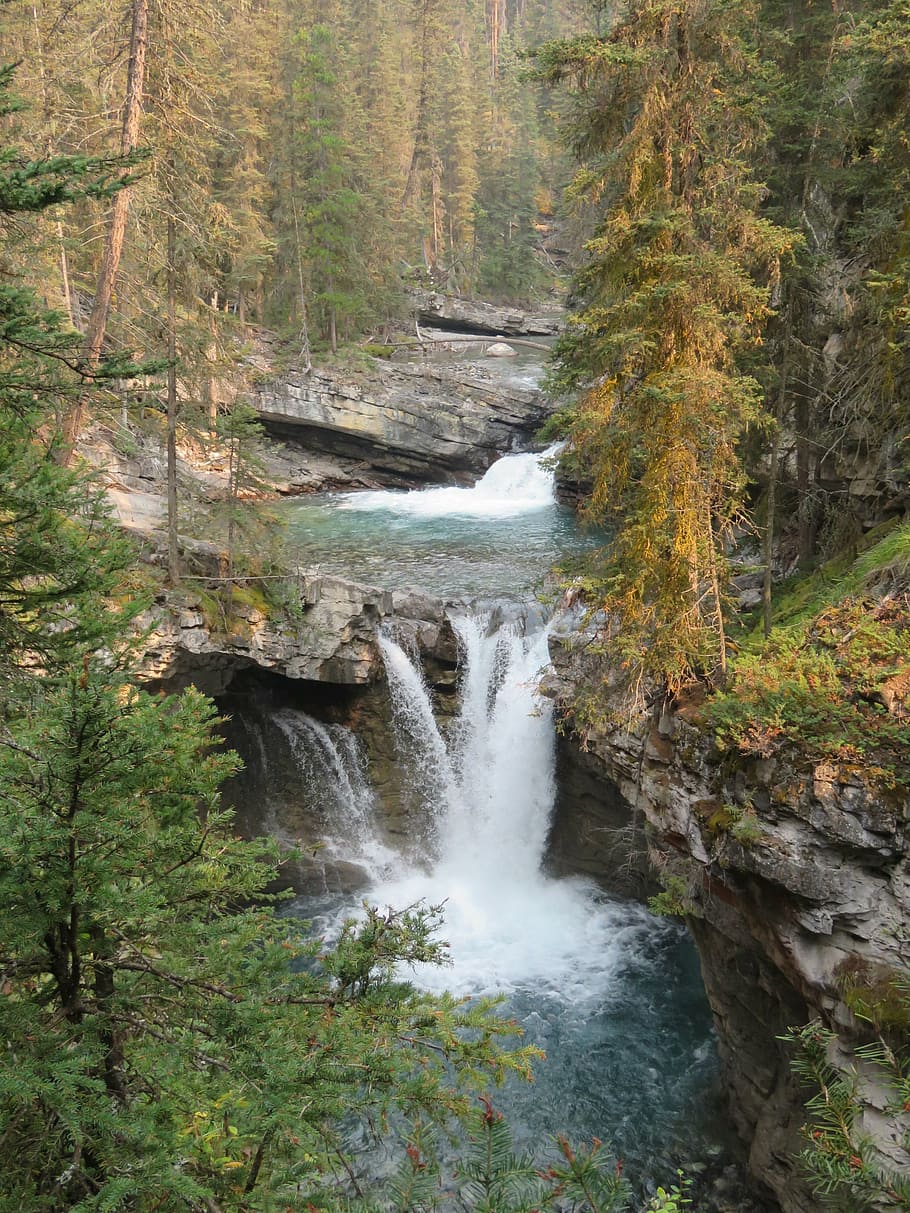canada, nature, waterfall, alberta, johnston canyon, beauty in nature HD wallpaper