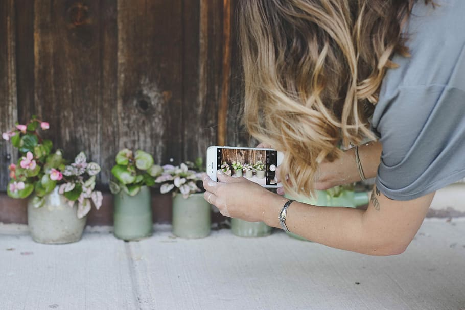 person taking a shot of plants, woman capturing flowers using iPhone