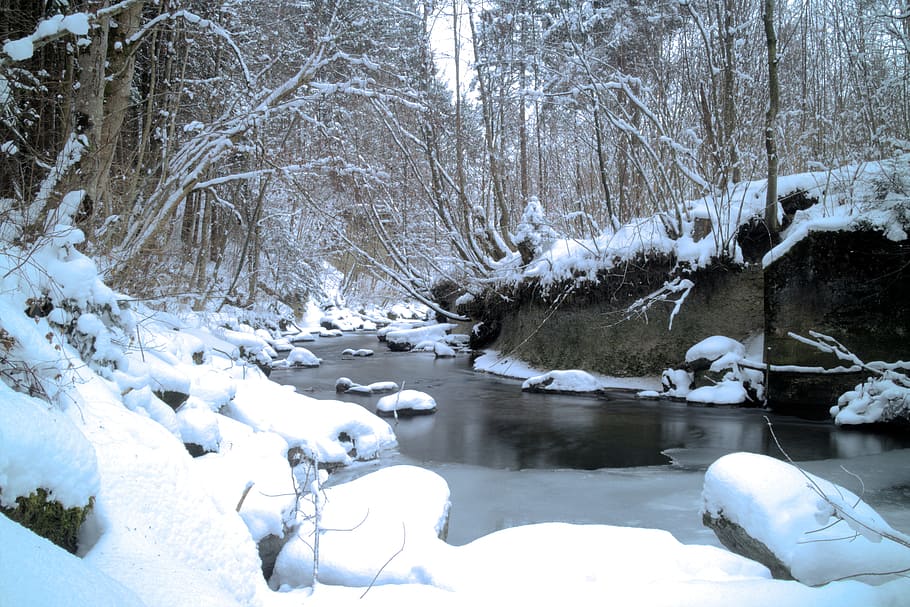 Bach, Long Exposure, Water, Winter, snow, nature, tree, forest HD wallpaper