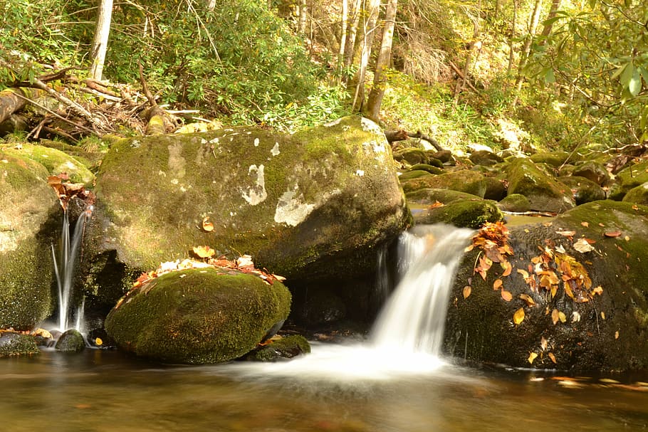 fall, stream, leaves, water, rock, rock - object, beauty in nature HD wallpaper