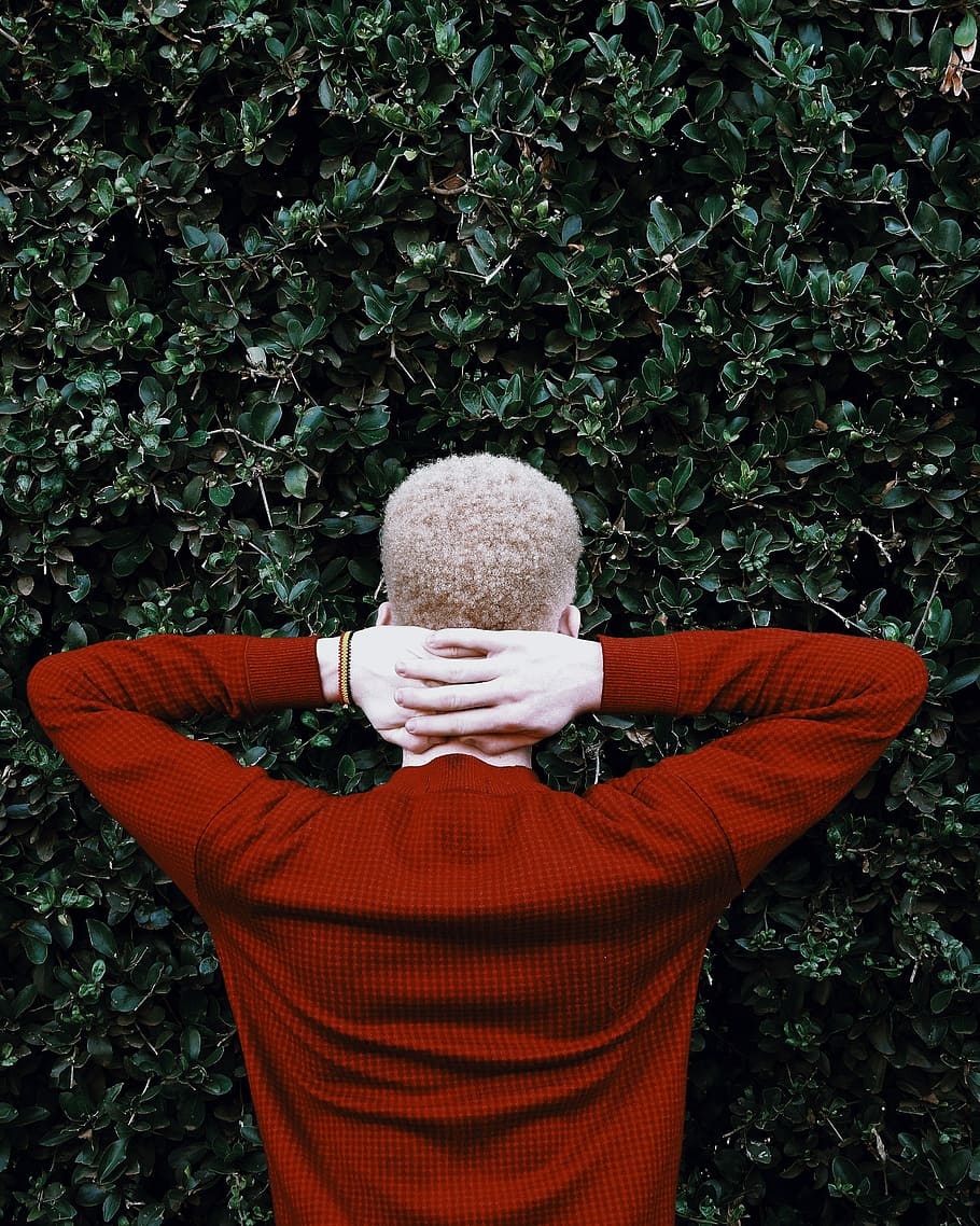 man wearing red sweatshirt, man wearing red crew-neck sweater put his hands of the back of his neck facing green leaf plant during daytime HD wallpaper