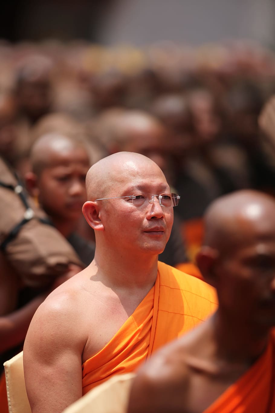 Monk, Buddhist, Meditate, Tradition, ceremony, orange, robe HD wallpaper