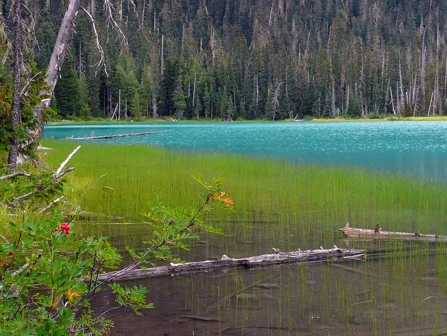 HD wallpaper: joffre lake, british columbia, canada, glacier, mountain ...