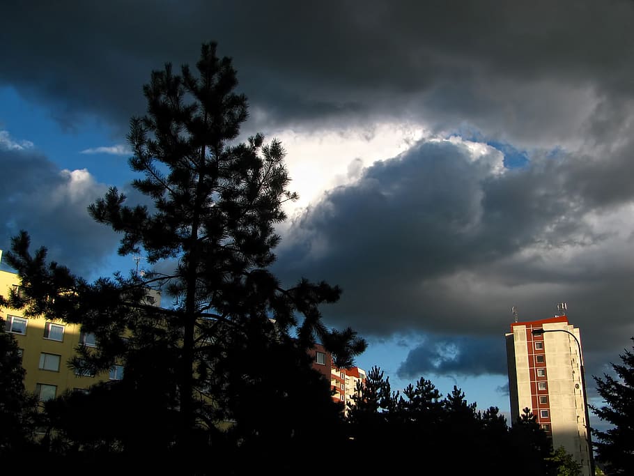 city, tree, house, nature, clouds, trees, sky, weather, dramatic HD wallpaper