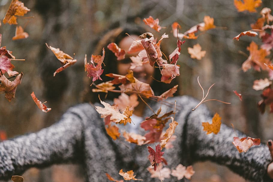 focus photography of brown dried leaves flying on air, model, HD wallpaper