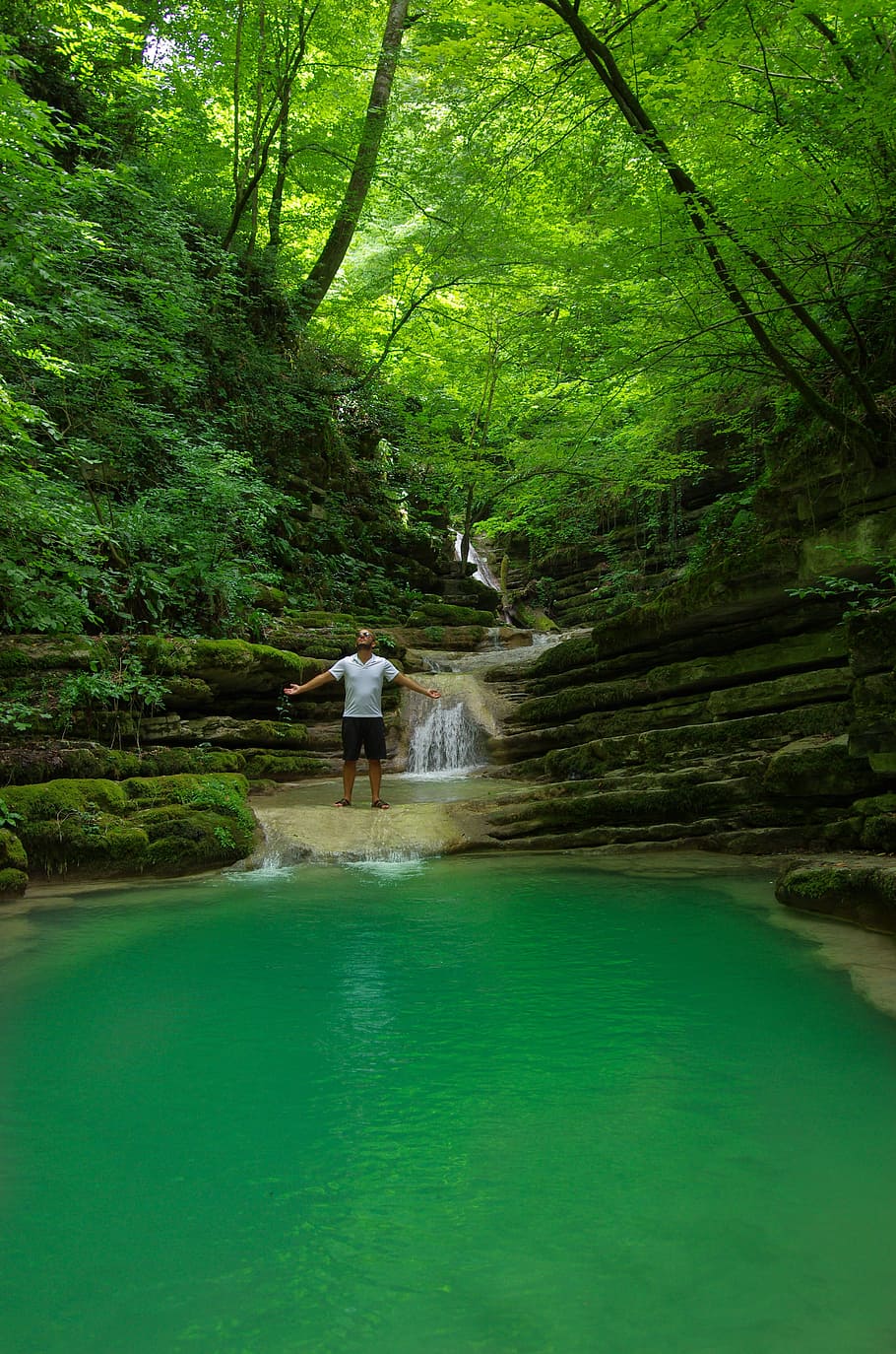 lake, forest, waterfall, sinop, trees, green, human, landscape HD wallpaper