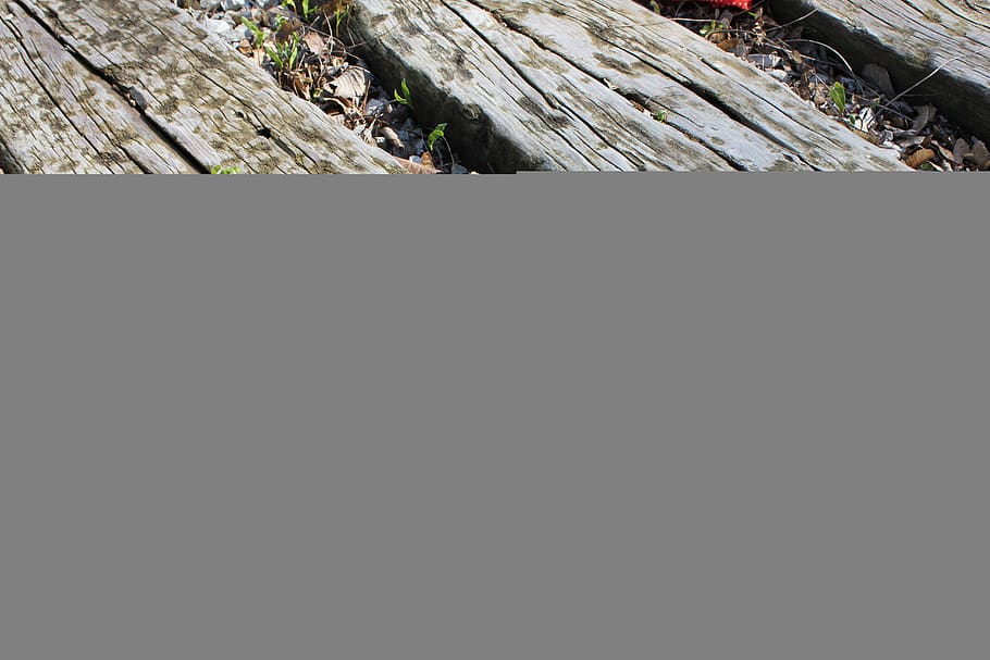 wood, gray, nature, copy space, architecture, day, wood - material HD wallpaper