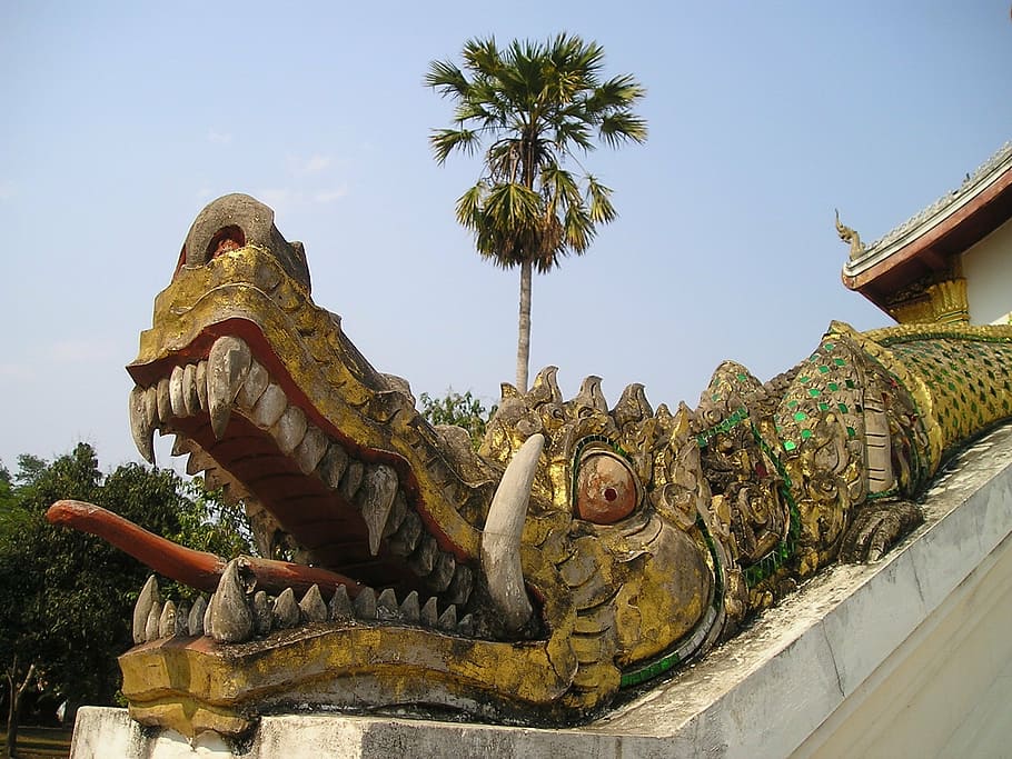 brown dragon stair decor at daytime, laos, southeast, asia, crocodile, HD wallpaper