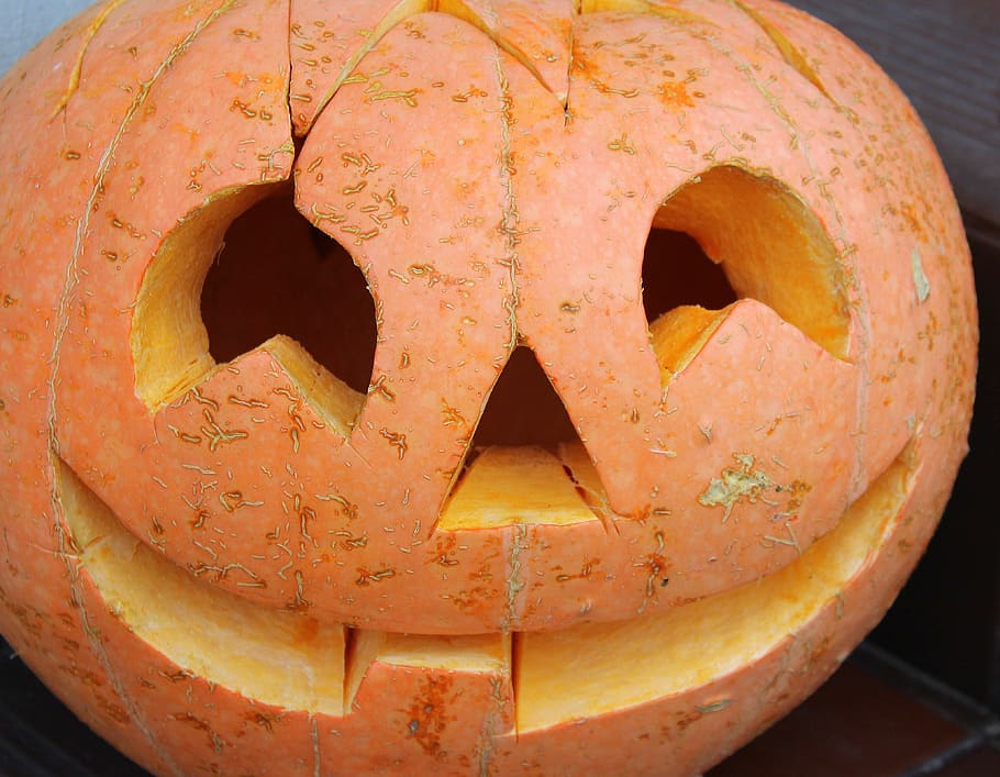 pumpkin, halloween, a vegetable, orange, autumn, powycinana pumpkin HD wallpaper