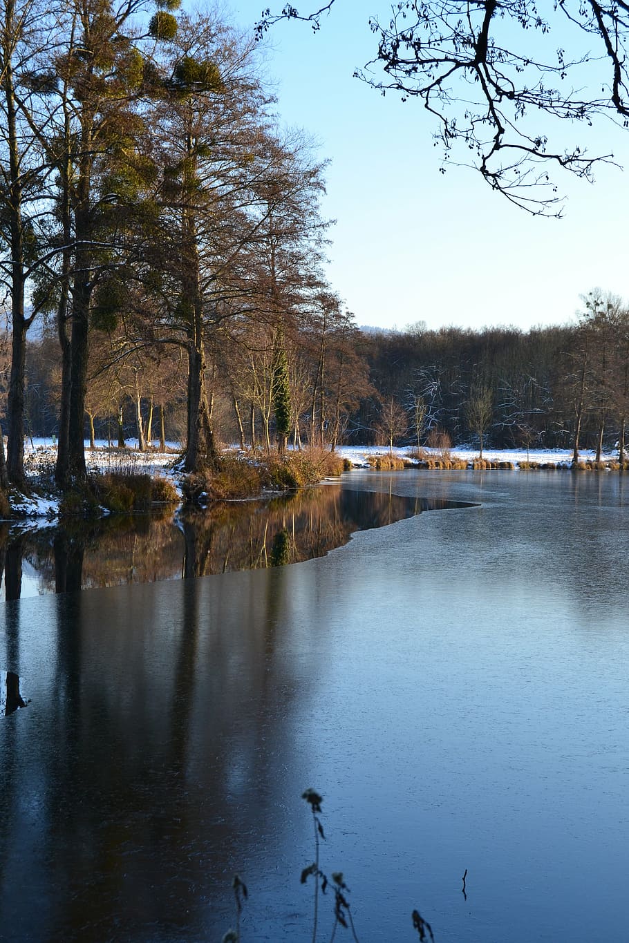 black forest, winter, stretch, vörstetten, mirroring, landscape HD wallpaper